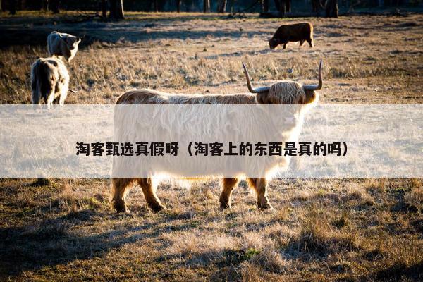 淘客甄选真假呀（淘客上的东西是真的吗）