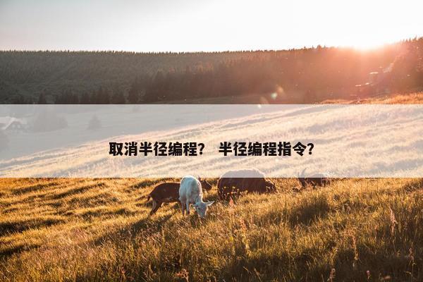 取消半径编程？ 半径编程指令？