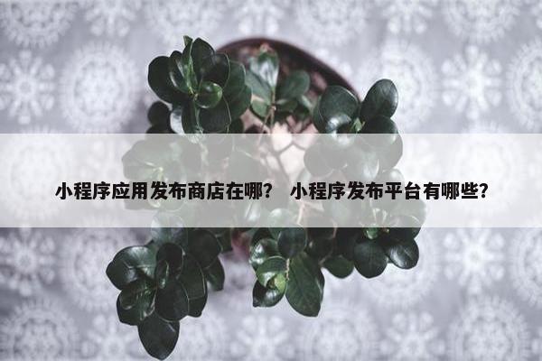 小程序应用发布商店在哪？ 小程序发布平台有哪些？