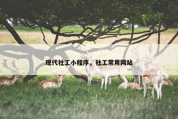 现代社工小程序，社工常用网站