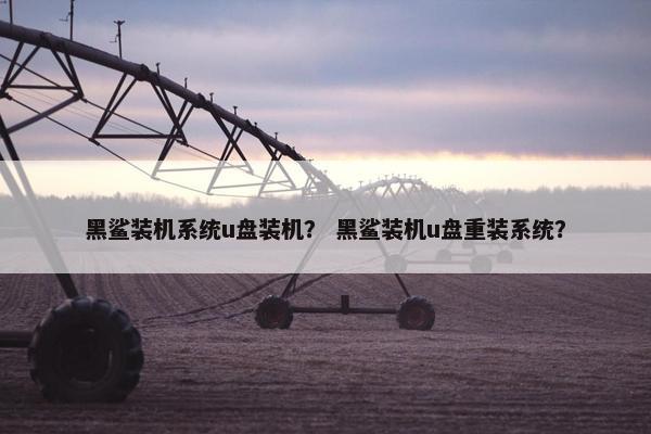 黑鲨装机系统u盘装机？ 黑鲨装机u盘重装系统？
