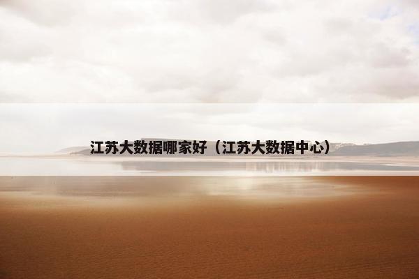江苏大数据哪家好（江苏大数据中心）