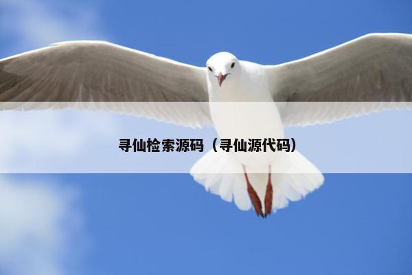 寻仙检索源码（寻仙源代码）
