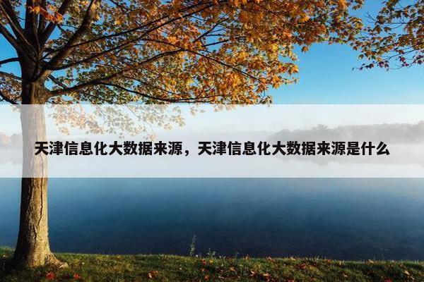 天津信息化大数据来源，天津信息化大数据来源是什么
