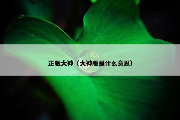 正版大神（大神版是什么意思）