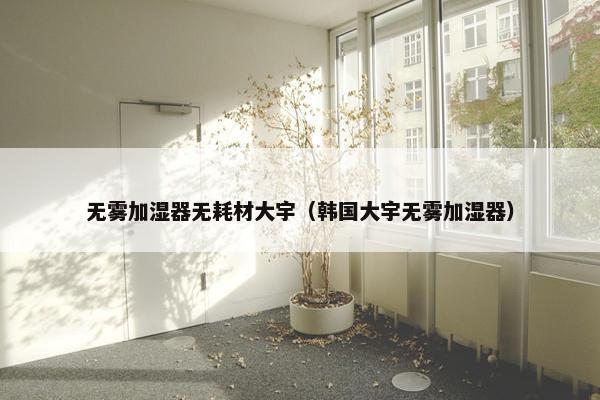 无雾加湿器无耗材大宇（韩国大宇无雾加湿器）