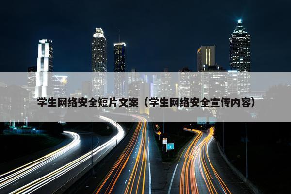 学生网络安全短片文案（学生网络安全宣传内容）
