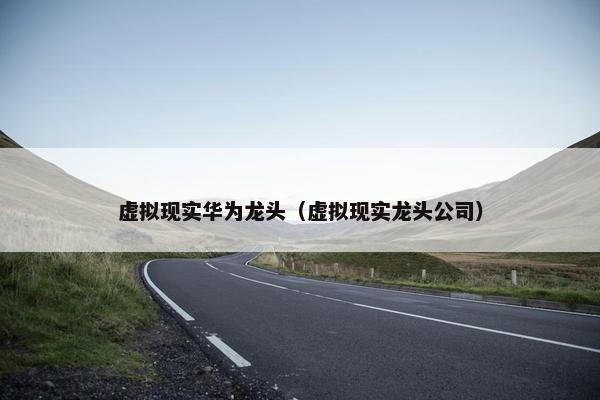 虚拟现实华为龙头（虚拟现实龙头公司）