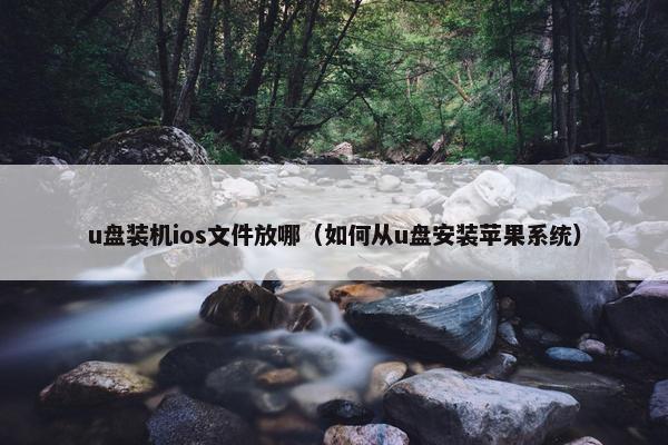 u盘装机ios文件放哪（如何从u盘安装苹果系统）