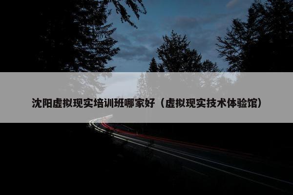 沈阳虚拟现实培训班哪家好（虚拟现实技术体验馆）