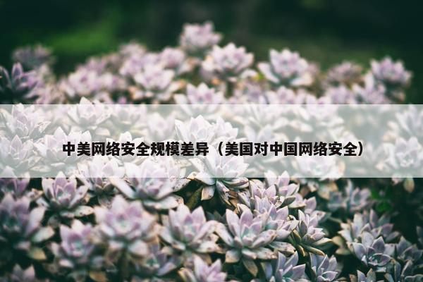 中美网络安全规模差异（美国对中国网络安全）