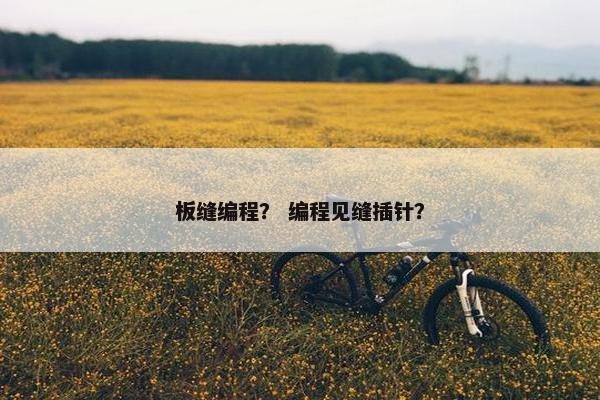 板缝编程？ 编程见缝插针？
