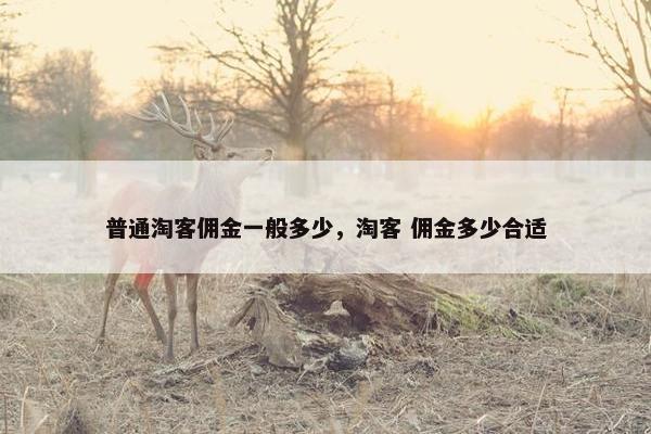 普通淘客佣金一般多少，淘客 佣金多少合适
