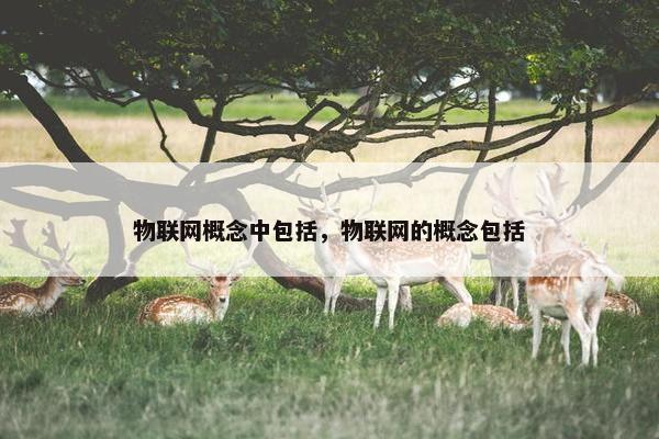 物联网概念中包括，物联网的概念包括