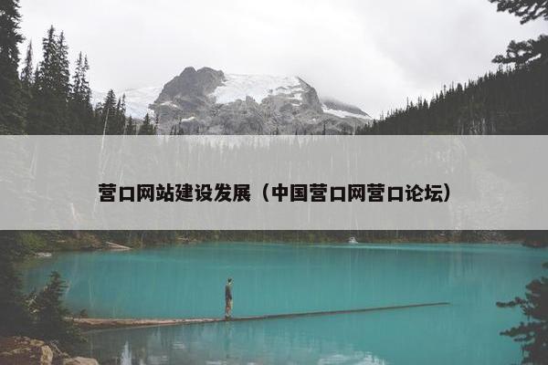 营口网站建设发展（中国营口网营口论坛）