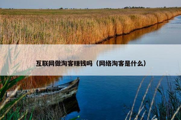 互联网做淘客赚钱吗（网络淘客是什么）