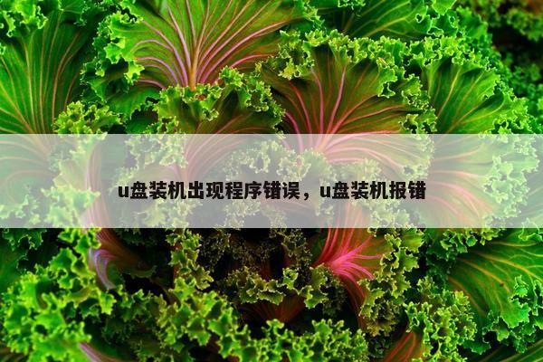 u盘装机出现程序错误，u盘装机报错