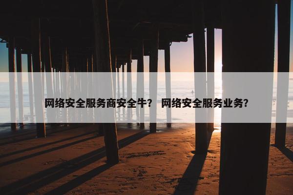 网络安全服务商安全牛？ 网络安全服务业务？