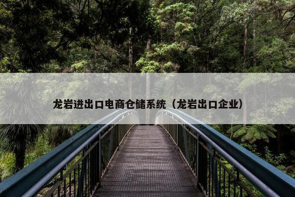 龙岩进出口电商仓储系统（龙岩出口企业）