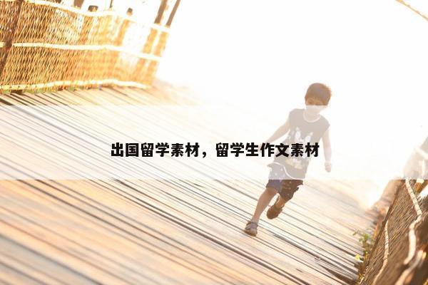 出国留学素材，留学生作文素材
