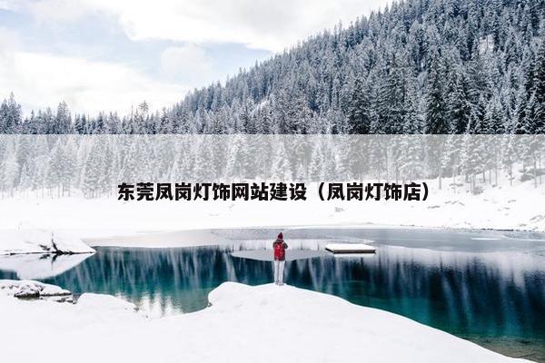 东莞凤岗灯饰网站建设（凤岗灯饰店）