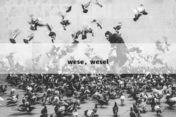 wese，wesel