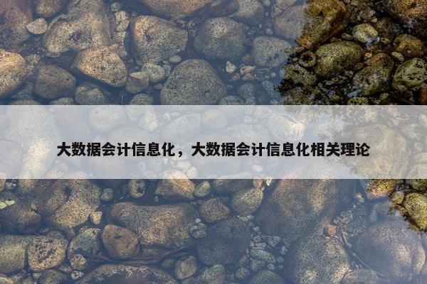 大数据会计信息化，大数据会计信息化相关理论
