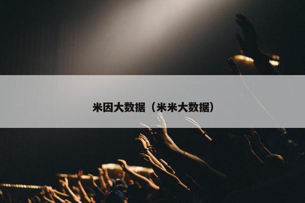 米因大数据（米米大数据）