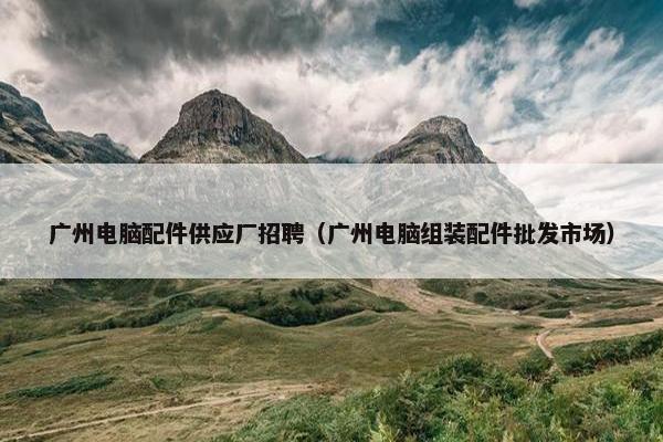 广州电脑配件供应厂招聘（广州电脑组装配件批发市场）