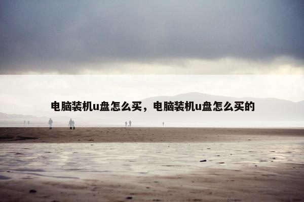 电脑装机u盘怎么买，电脑装机u盘怎么买的