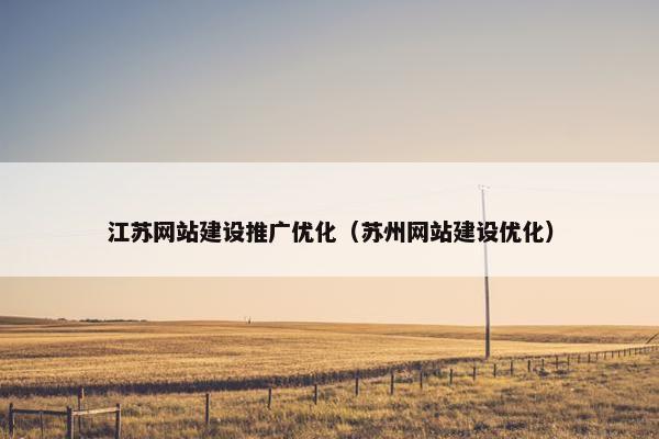 江苏网站建设推广优化（苏州网站建设优化）