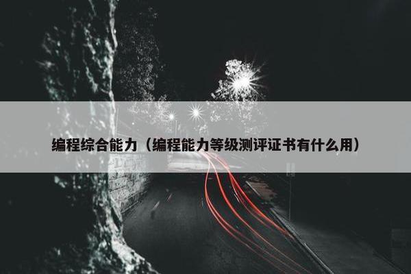 编程综合能力（编程能力等级测评证书有什么用）