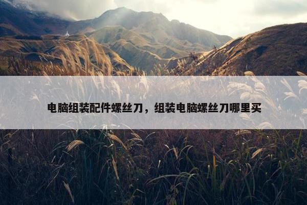 电脑组装配件螺丝刀，组装电脑螺丝刀哪里买
