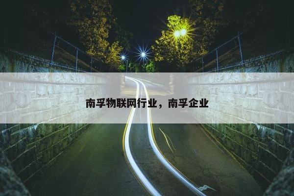 南孚物联网行业，南孚企业