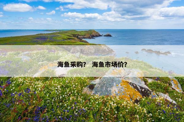 海鱼采购？ 海鱼市场价？
