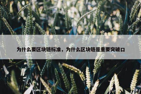 为什么要区块链标准，为什么区块链是重要突破口