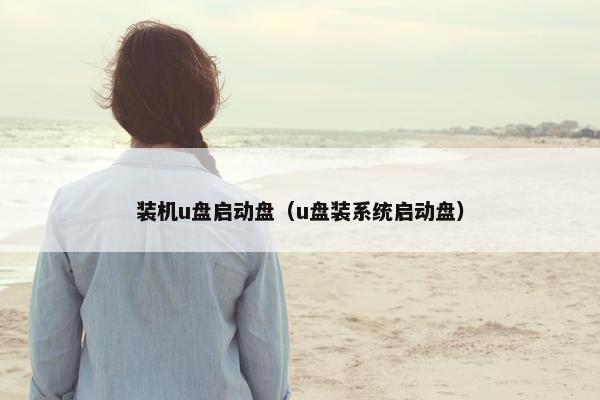 装机u盘启动盘（u盘装系统启动盘）