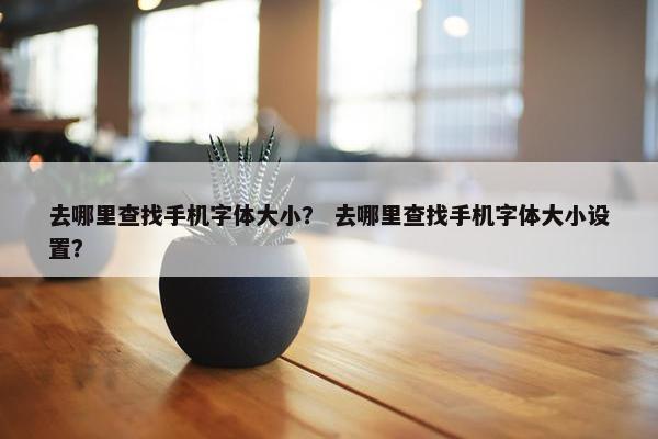 去哪里查找手机字体大小？ 去哪里查找手机字体大小设置？