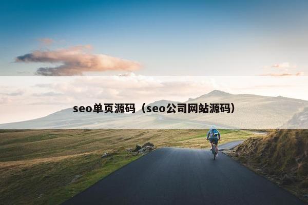 seo单页源码（seo公司网站源码）