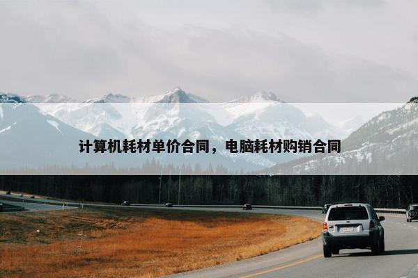 计算机耗材单价合同，电脑耗材购销合同