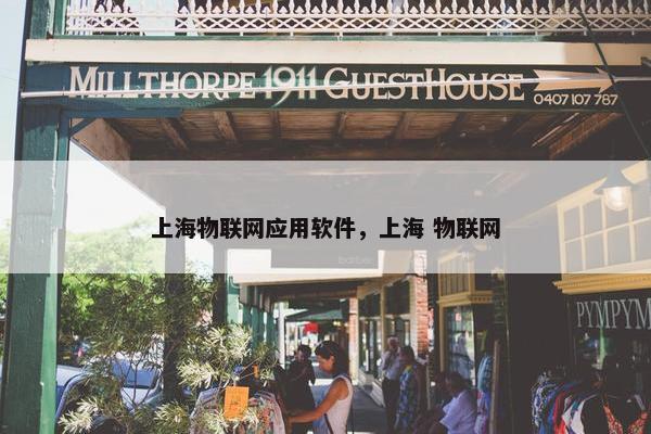 上海物联网应用软件，上海 物联网