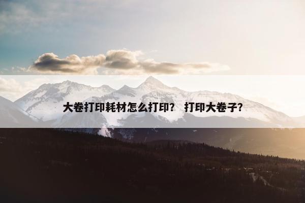 大卷打印耗材怎么打印？ 打印大卷子？