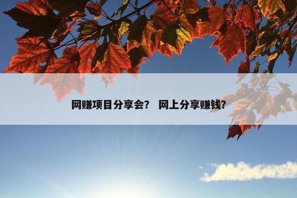 网赚项目分享会？ 网上分享赚钱？