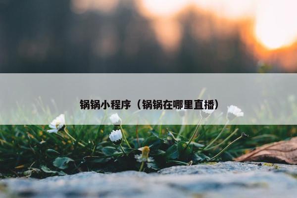 锅锅小程序（锅锅在哪里直播）