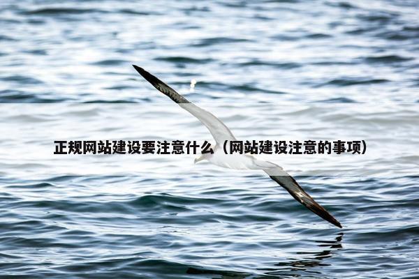 正规网站建设要注意什么（网站建设注意的事项）