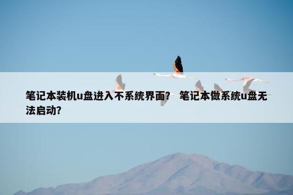 笔记本装机u盘进入不系统界面？ 笔记本做系统u盘无法启动？