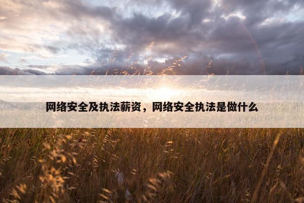 网络安全及执法薪资，网络安全执法是做什么