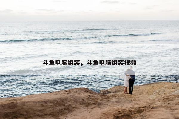 斗鱼电脑组装，斗鱼电脑组装视频