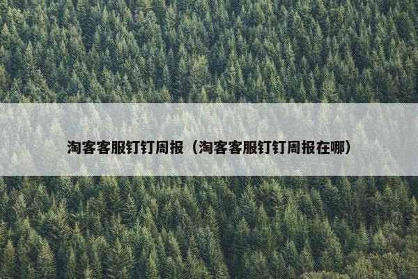 淘客客服钉钉周报（淘客客服钉钉周报在哪）