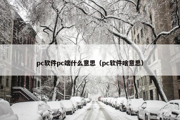 pc软件pc端什么意思（pc软件啥意思）